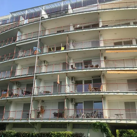 Golden Brown * Siófok